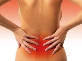 Causes of lumbar spine pain