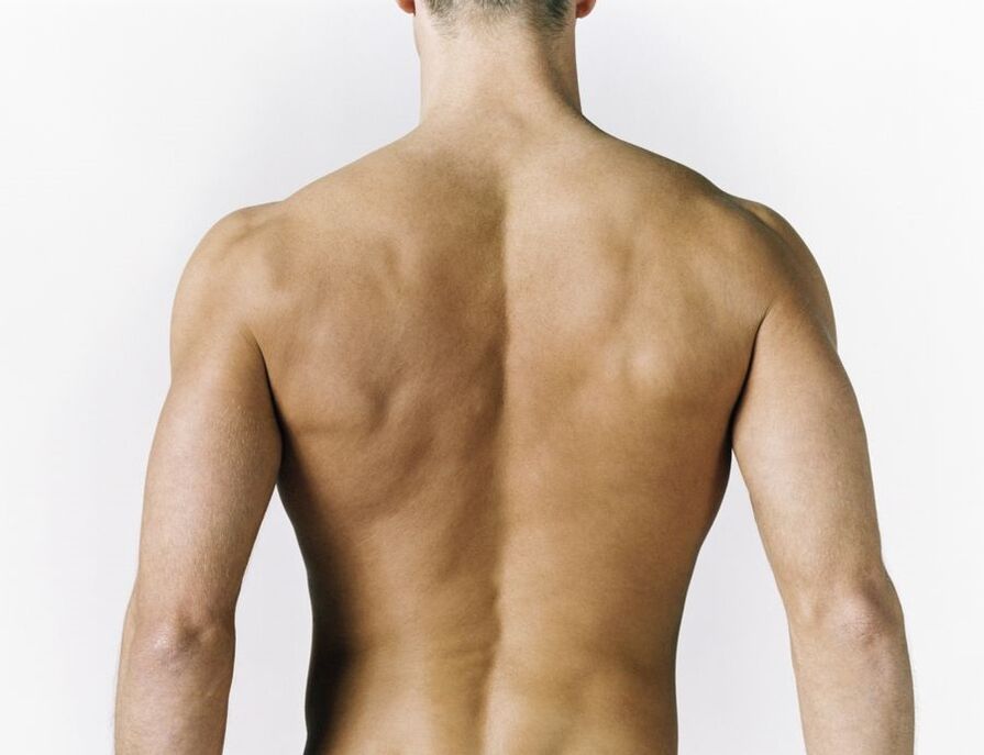 Inflammation of the back muscles is the cause of pain between the shoulder blades
